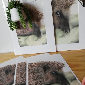 Michelle Clarke Fine Art